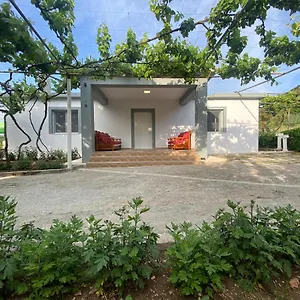  Affittacamere Progon House